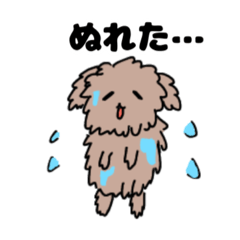 [LINEスタンプ] 濡れプードルたち