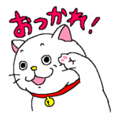 [LINEスタンプ] 眼力強めのしろねこ