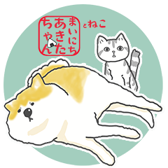 [LINEスタンプ] あきたちゃんとねこ|秋田犬