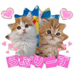 [LINEスタンプ] ねこまーち うに＆いくら ラブリーズ