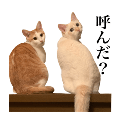 [LINEスタンプ] うめとびわのスタンプ