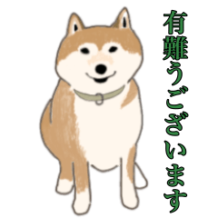 [LINEスタンプ] 15匹の丁寧犬