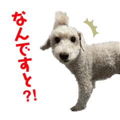 [LINEスタンプ] りんとゆうのスタンプ10