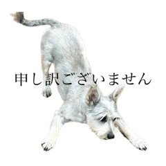 [LINEスタンプ] うみちょこ