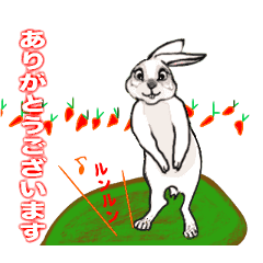 [LINEスタンプ] ウサギ可愛いね/3