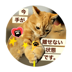 [LINEスタンプ] レイ君 みんなで使おう敬語スタンプ