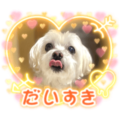 [LINEスタンプ] もちぞーのいる生活その2