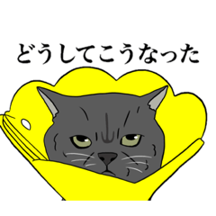 [LINEスタンプ] とある家のネコ…？