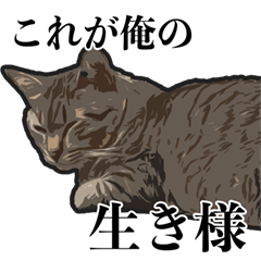 [LINEスタンプ] しぶいねこのスタンプ