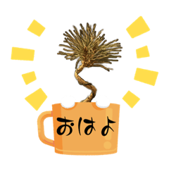 [LINEスタンプ] 黒松ちゃんの日常の画像（メイン）