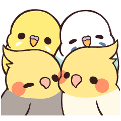 [LINEスタンプ] オカメ＆セキセイインコ らいふ