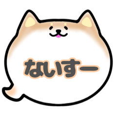 [LINEスタンプ] 柴犬吹き出しスタンプ友人用友達用003