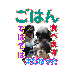 [LINEスタンプ] 縦と横＆横と縦でまとめて会話スタンプ