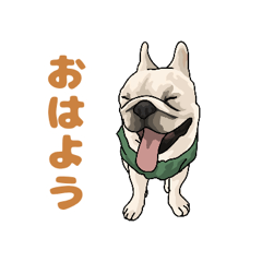 [LINEスタンプ] フレンチブルドッグ 1