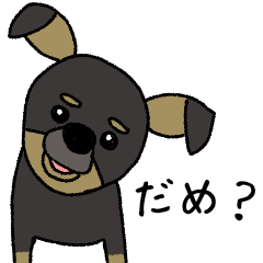 [LINEスタンプ] ミニピンなっちくんとヨーキーりっちくん