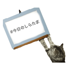 [LINEスタンプ] 今日のしらたま 2