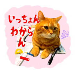 [LINEスタンプ] レイ君の鹿児島弁スタンプじゃっど。第二弾