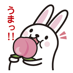 [LINEスタンプ] スノーラビット スタンプ