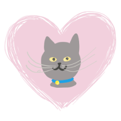 [LINEスタンプ] 猫のそらとの生活