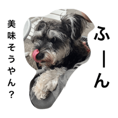 [LINEスタンプ] maxのすたんぷ2