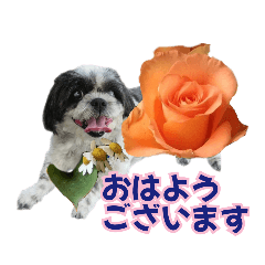 [LINEスタンプ] 美♡癒やしの花と犬