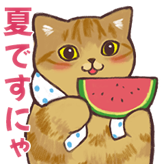 [LINEスタンプ] 夏の猫たち