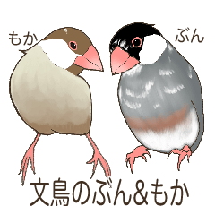 [LINEスタンプ] 文鳥のぶん＆もか