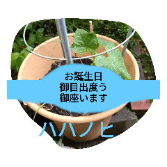 [LINEスタンプ] 月山線スタンプ日薬壱ハハノヒきゅり山弐