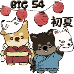 [LINEスタンプ] 【Big】柴犬・ちゃちゃ丸たち 54『初夏』の画像（メイン）