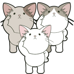 [LINEスタンプ] 【ねこ組】文字なしde飛び出す