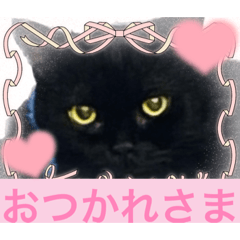 [LINEスタンプ] 黒猫 ルナ院長74にゃんめ