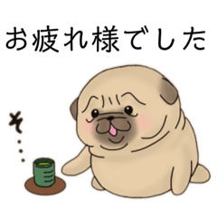 [LINEスタンプ] 丁寧なパグちゃ