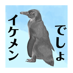 [LINEスタンプ] 神在月のペンギンスタンプ18