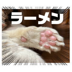 [LINEスタンプ] はぁちゃん肉球