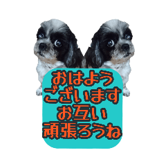 [LINEスタンプ] 愛犬のメモ帳