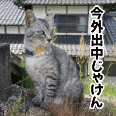 [LINEスタンプ] 猫の方言スタンプ