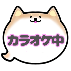 [LINEスタンプ] 柴犬吹き出しスタンプ○○中001