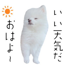 [LINEスタンプ] しあん その参