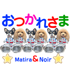 [LINEスタンプ] マティラとノアールのかわいいスタンプ