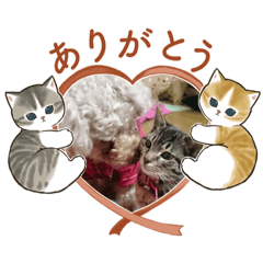 [LINEスタンプ] 愛月空