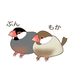 [LINEスタンプ] 文鳥のぶん＆もか2