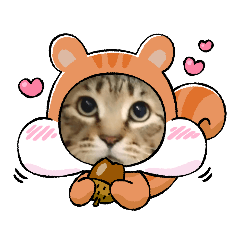 [LINEスタンプ] うちのKO✨