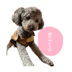[LINEスタンプ] テツムギハクstamp☺︎♡