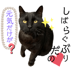 [LINEスタンプ] くろねこくろの方言スタンプ:庄内弁②