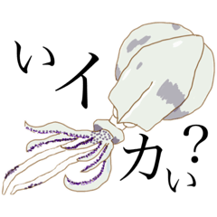 [LINEスタンプ] ダジャレを言いつつリアルになってく魚たち