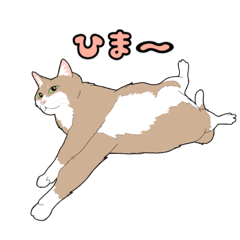 [LINEスタンプ] ネコのまったり生活