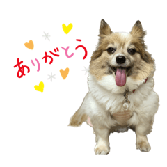 [LINEスタンプ] アイドルユキ
