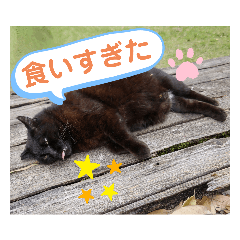 [LINEスタンプ] 地域猫2