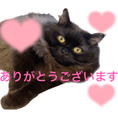 [LINEスタンプ] 黒猫 ルナ78にゃんめ