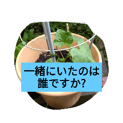 [LINEスタンプ] 月山線スタンプ日薬寿有胡瓜艮嵯弐